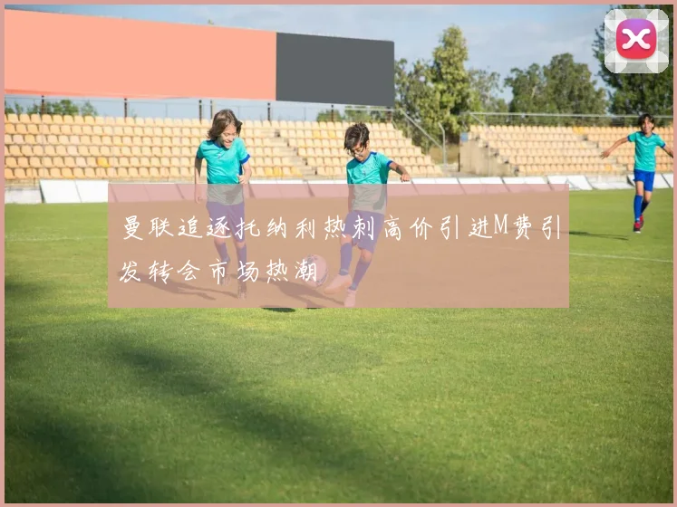 曼联追逐托纳利热刺高价引进M费引发转会市场热潮